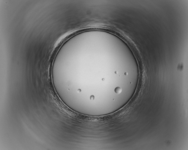 X0000114401222200911061530