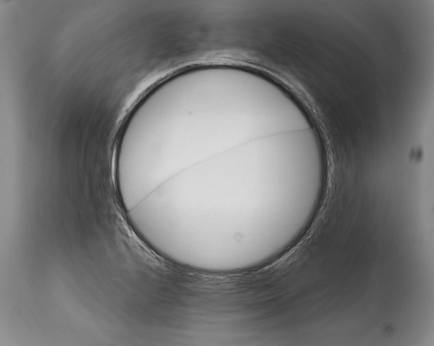 X0000114401224200911061530