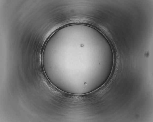 X0000114401226200911061530