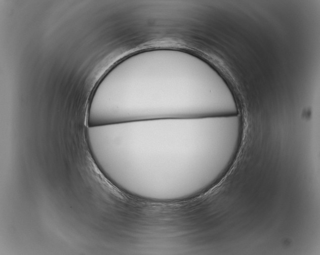 X0000114401228200911061530