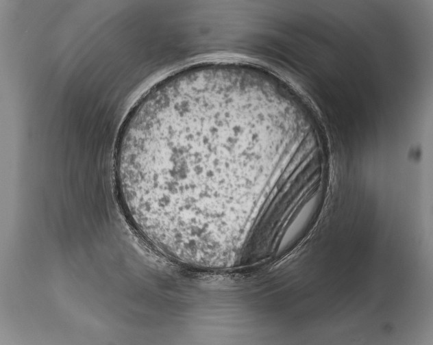 X0000114401229200911061530