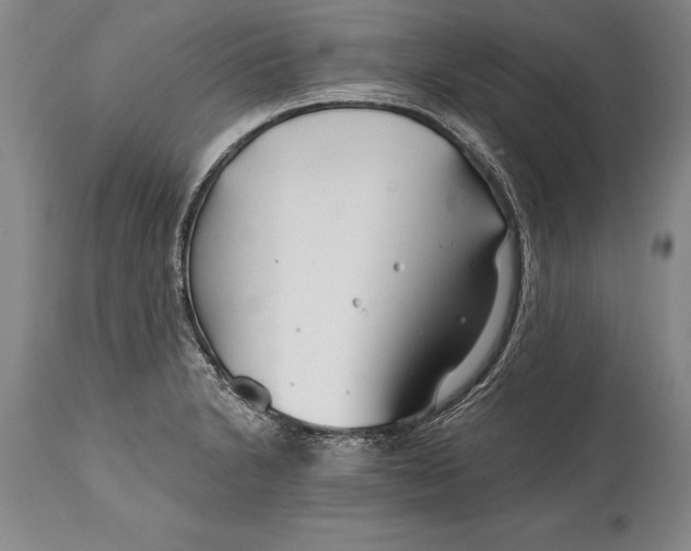 X0000114401230200911061530