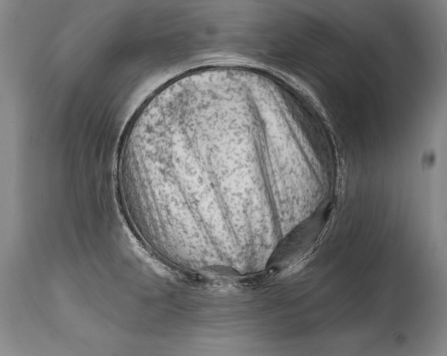 X0000114401231200911061530