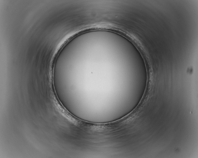 X0000114401232200911061530