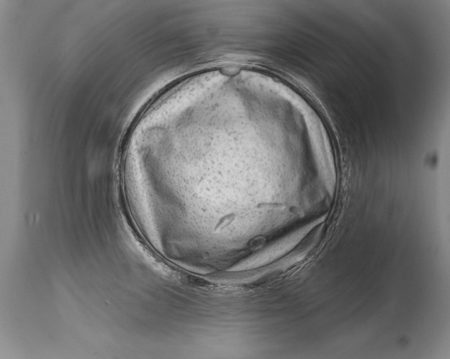 X0000114401235200911061530