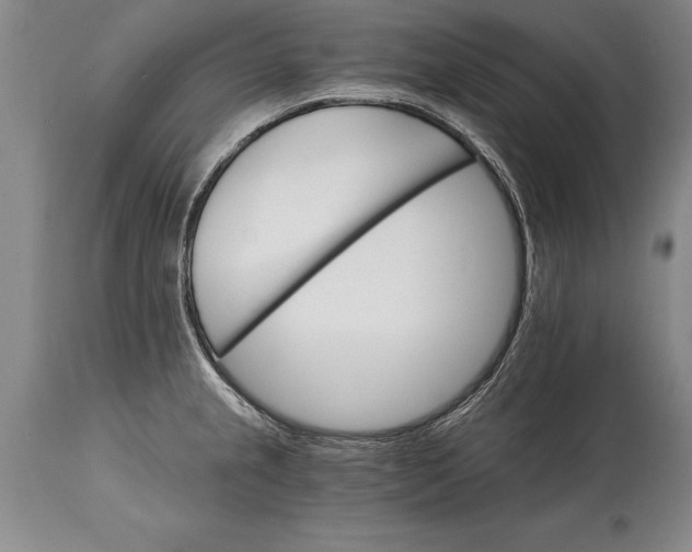 X0000114401237200911061530