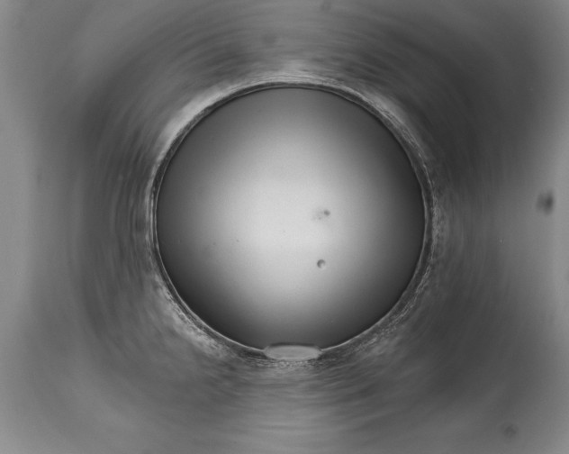 X0000114401238200911061530