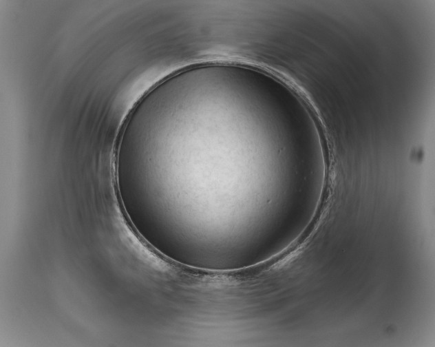 X0000114401239200911061530