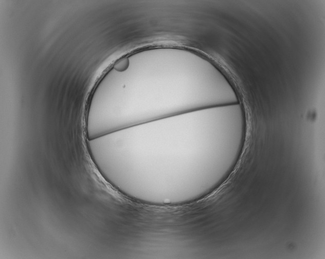 X0000114401240200911061530