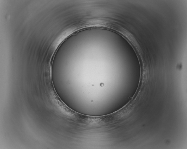 X0000114401242200911061530