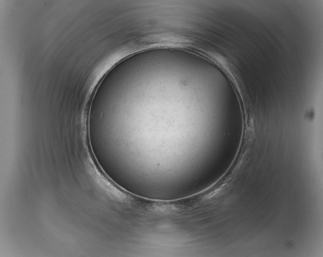 X0000114401243200911061530