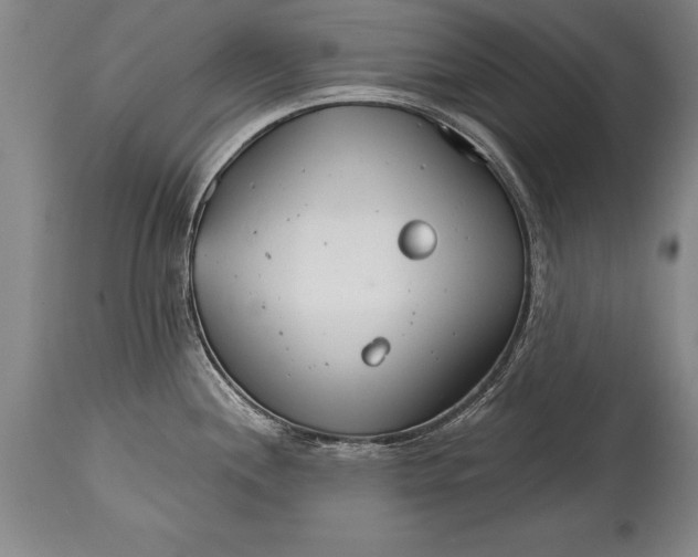 X0000114401244200911061530