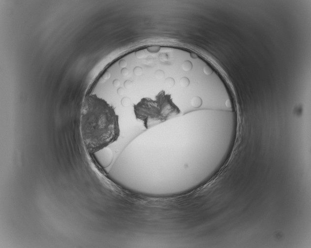 X0000114401245200911061530