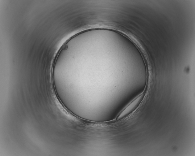 X0000114401246200911061530