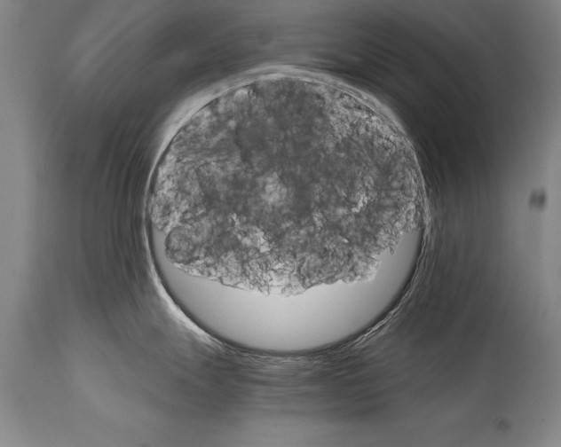 X0000114401247200911061530