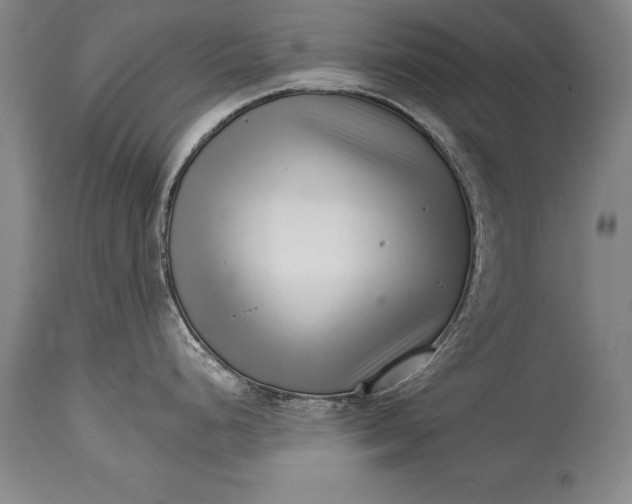 X0000114401248200911061530