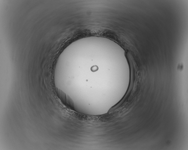 X0000114401249200911061529