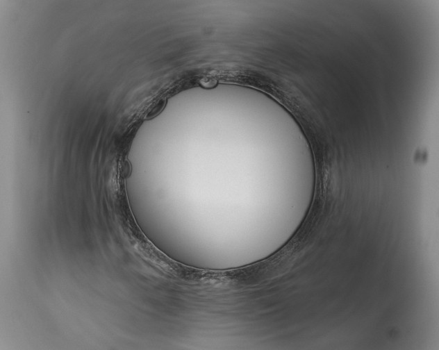 X0000114401250200911061529