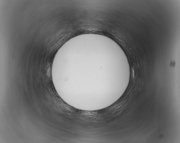 X0000114401251200911061529