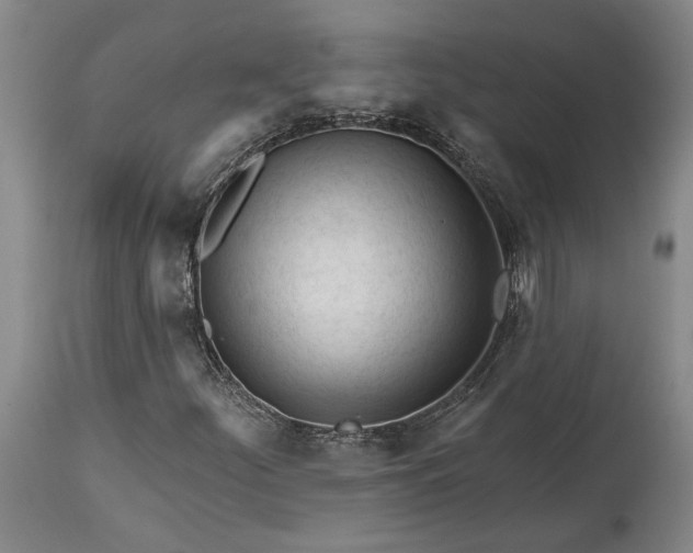 X0000114401252200911061529