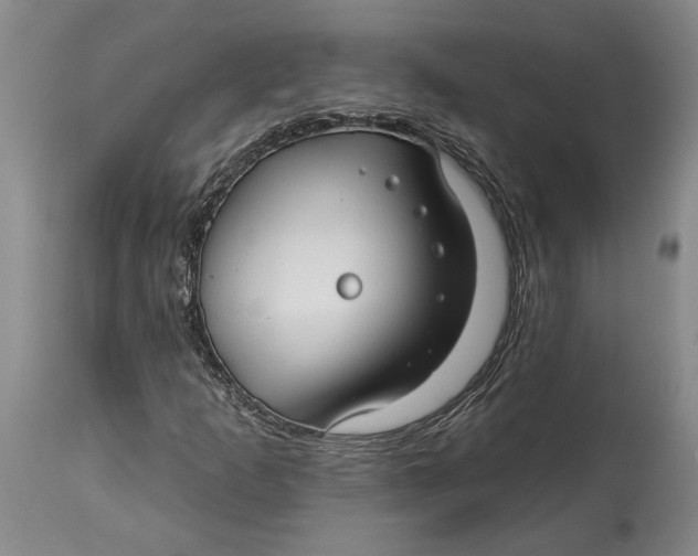 X0000114401253200911061529