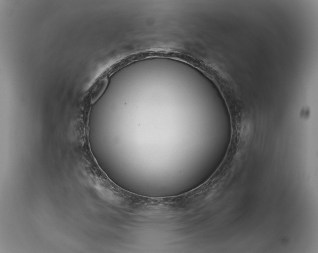 X0000114401256200911061529