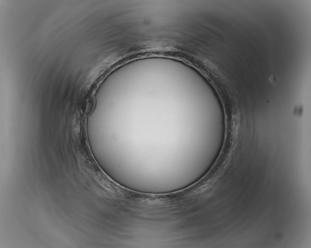 X0000114401257200911061529