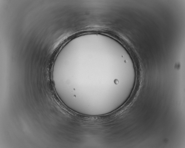 X0000114401259200911061529