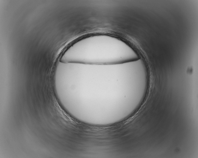 X0000114401260200911061529