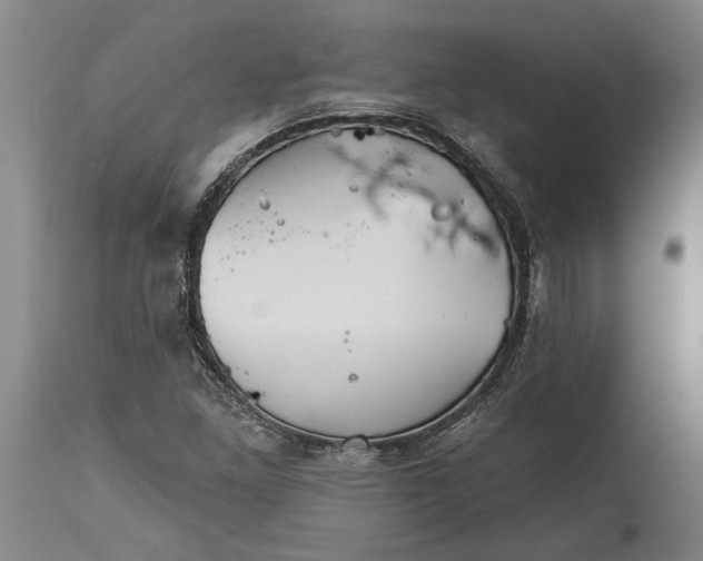 X0000114401261200911061529