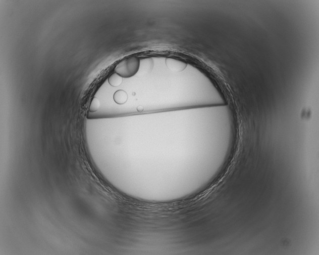 X0000114401263200911061529