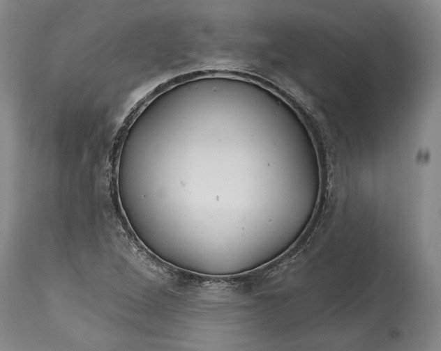 X0000114401264200911061529