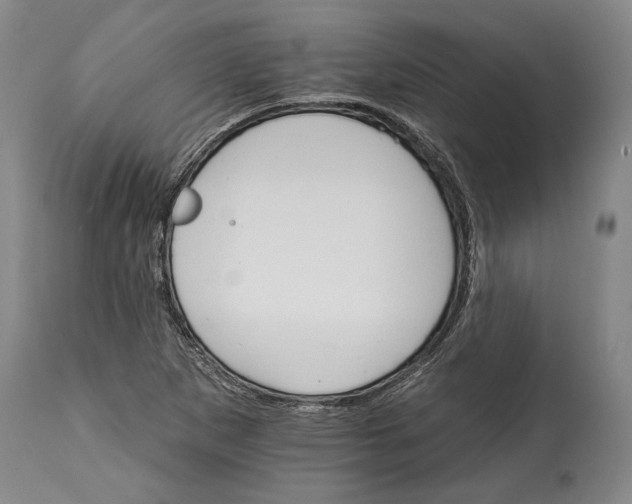 X0000114401265200911061529