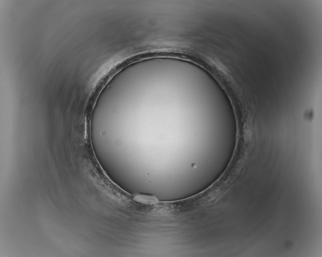 X0000114401267200911061529