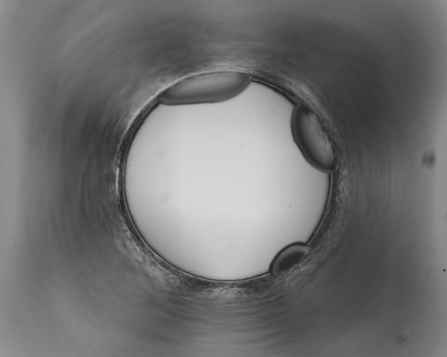 X0000114401268200911061529