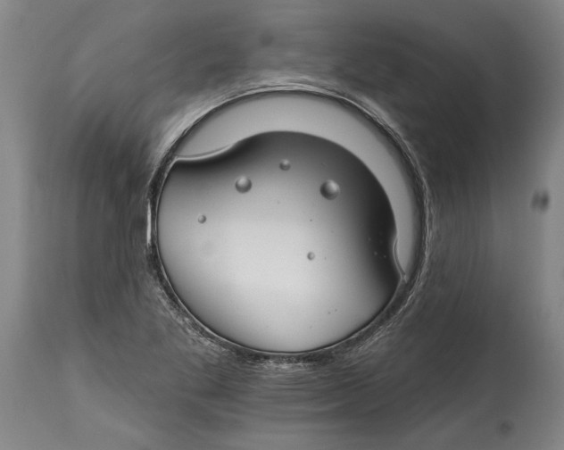 X0000114401269200911061529