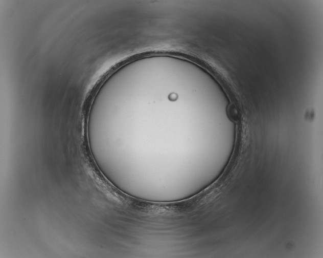 X0000114401270200911061529