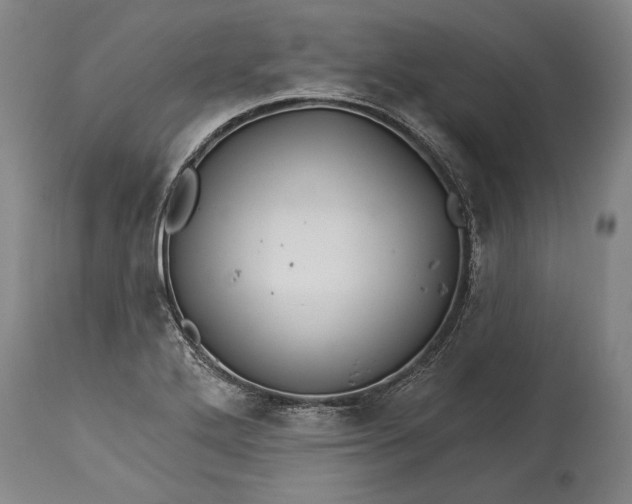 X0000114401272200911061529