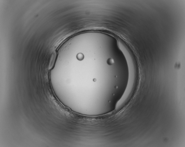 X0000114401273200911061529