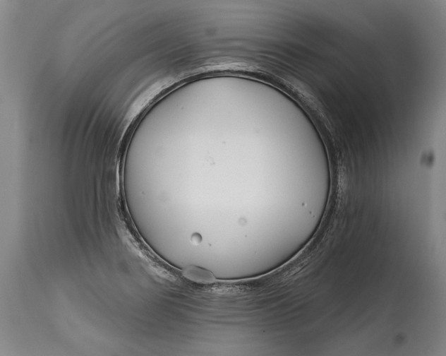 X0000114401274200911061529