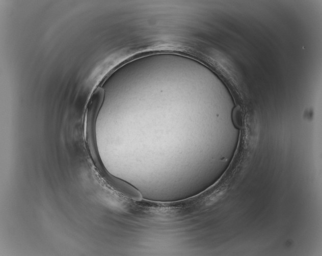 X0000114401276200911061529