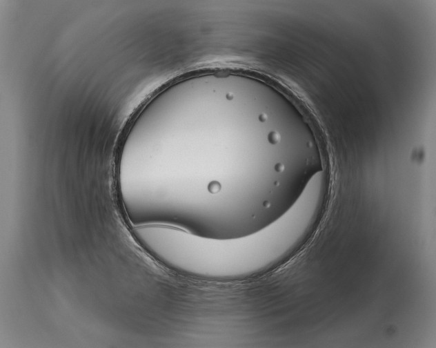 X0000114401277200911061529