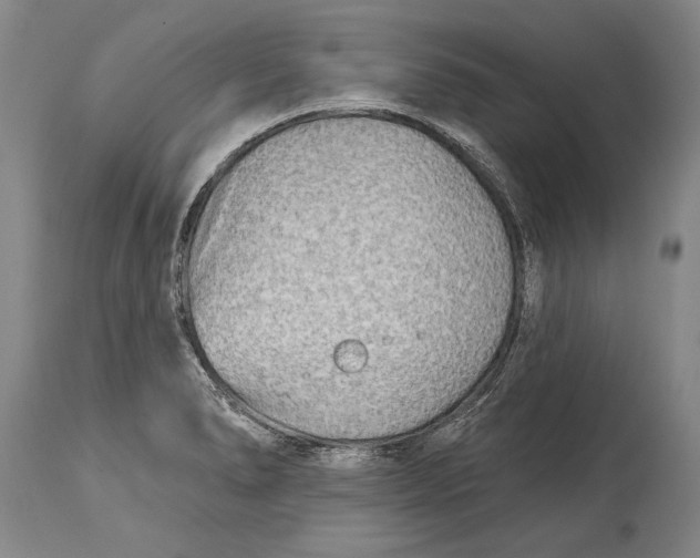 X0000114401278200911061529