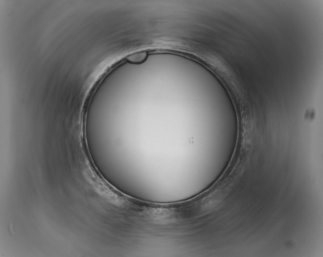 X0000114401280200911061529