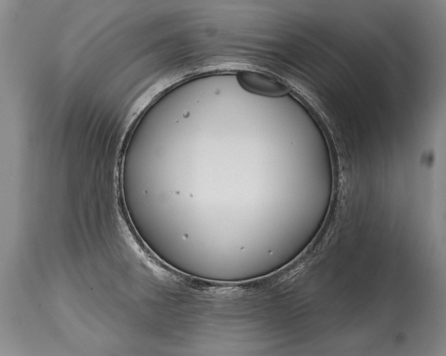 X0000114401282200911061529