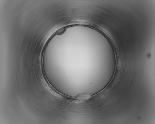 X0000114401283200911061529