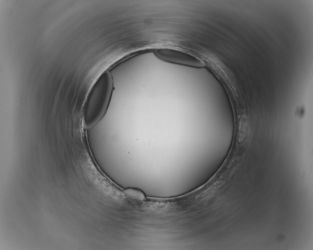 X0000114401284200911061529