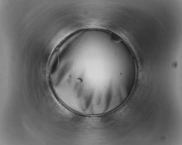 X0000114401285200911061529