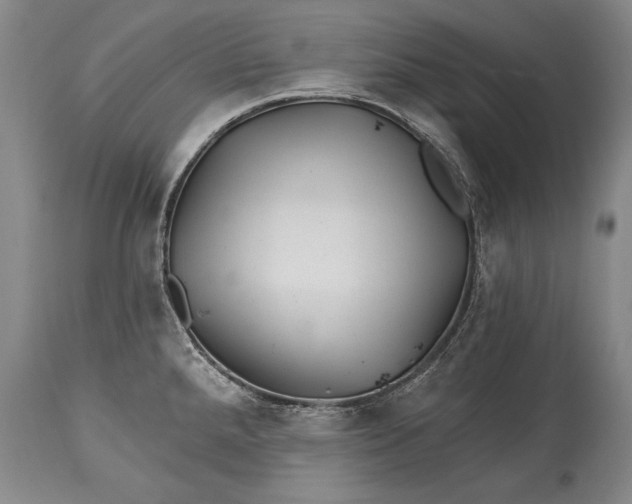 X0000114401288200911061529