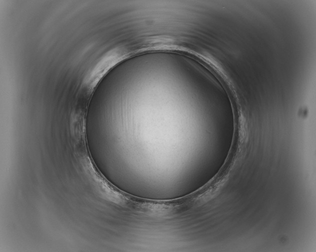 X0000114401289200911061529